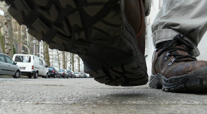 Interpretare vis in care esti calcat in picioare de oameni sau animale