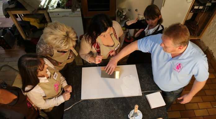 Interpretare vis in care esti liderul unei grupari ecologice