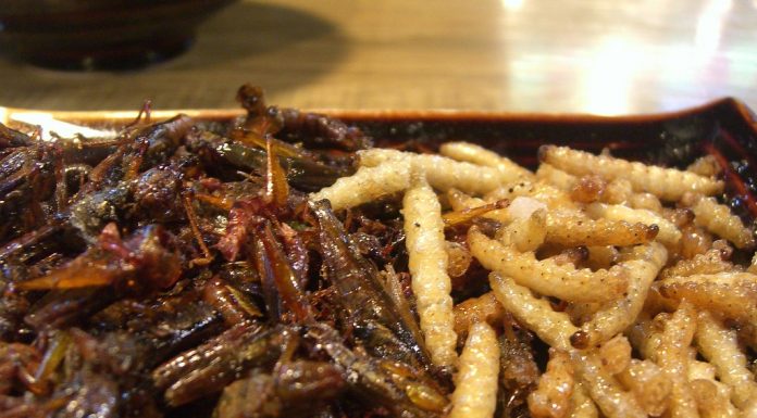 Interpretare vis in care vezi viermi in mancare