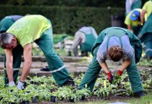 Interpretare vis in care esti la o ferma si esti fermier sau cu un fermier