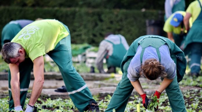 Interpretare vis in care esti la o ferma si esti fermier sau cu un fermier