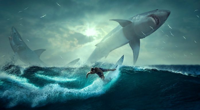 Interpretare vis in care inoti si esti tras in apa adanca de un monstru