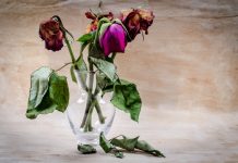 Interpretare vis in care se ofilesc flori