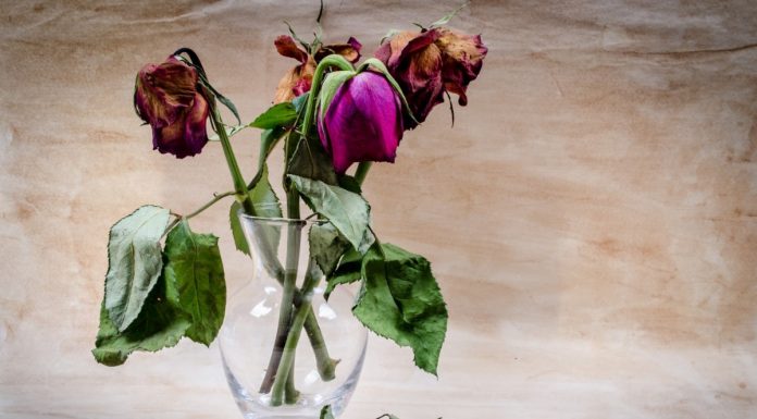 Interpretare vis in care se ofilesc flori