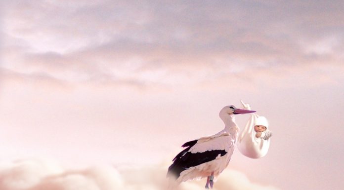 Interpretare vis in care o barza iti aduce un bebelus