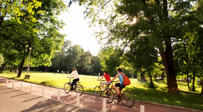 Interpretare vis in care te plimbi cu bicicleta prin parc