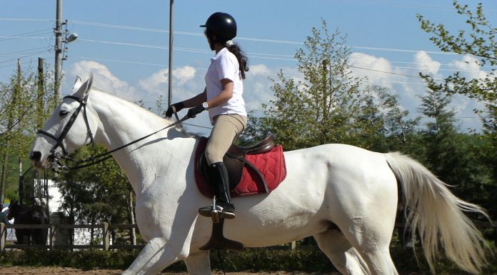 Interpretare vis in care calaresti un cal sau un ponei