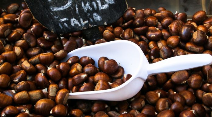 Interpretare vis in care mananci castane