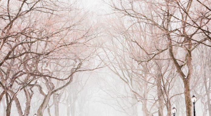 Interpretare vis in care ninge si e plin de zapada