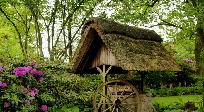 Interpretare vis in care pici intr-o fantana