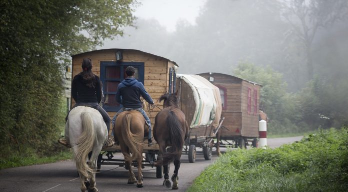 Interpretare vis in care apare o satra de tigani