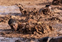 Interpretare vis in care esti in namol