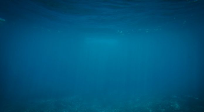 Interpretare vis în care apar ape foarte adanci Interpretare vis in care apar ape foarte adanci