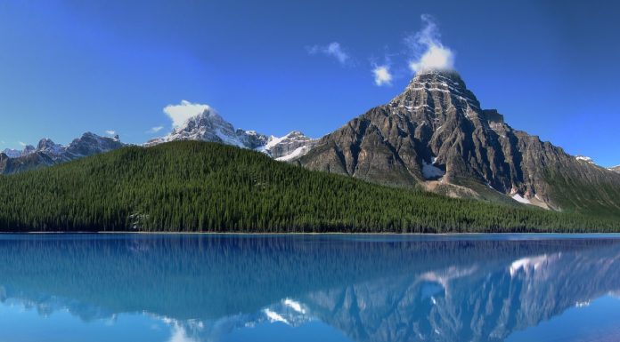 Interpretare vis in care vezi munti impaduriti