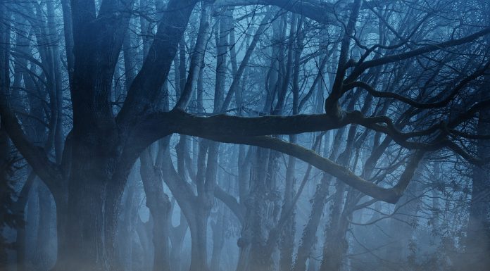 Interpretare vis in care esti in intuneric total si nu stii unde te afli