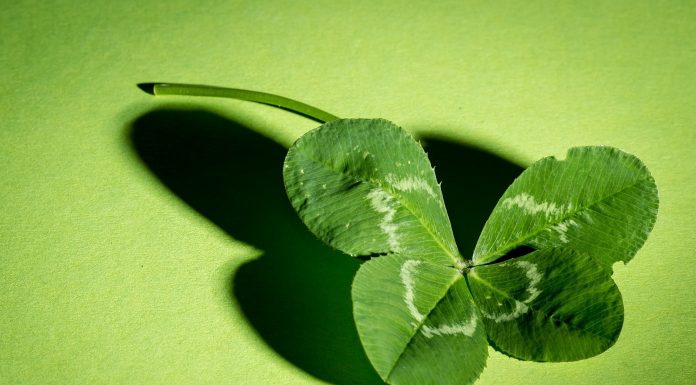 Interpretare vis in care apare trifoi sau potcoava sau alt element al norocului