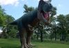 Interpretare vis în care ești printre dinozauri Interpretare vis in care esti printre dinozauri