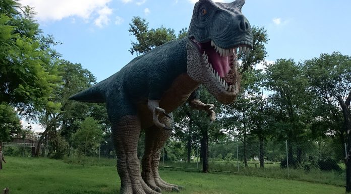 Interpretare vis in care esti printre dinozauri