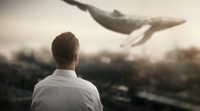 Interpretare vis in care nimeni nu crede ce spui