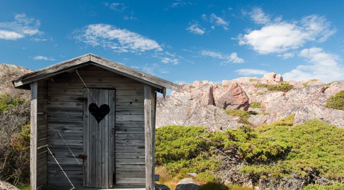 Interpretare vis in care esti intr-un loc public si faci pe tine