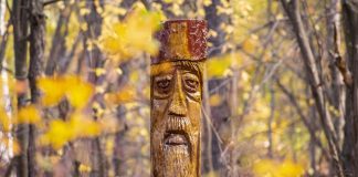 Interpretare vis în care vezi totem