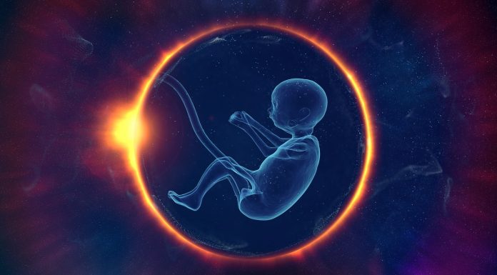 Interpretare vis în care vezi embrion