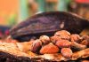 Interpretare vis în care vezi pudră de cacao
