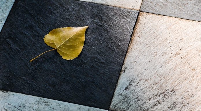 Interpretare vis în care vezi gresie sau țiglă