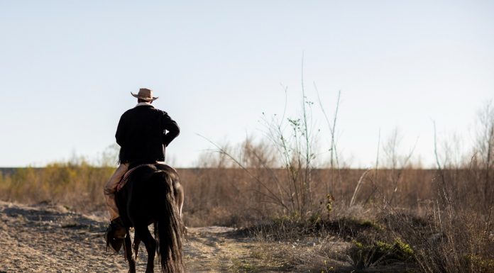 Interpretare vis în care vezi un cowboy