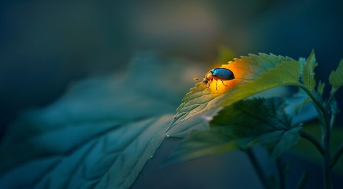 Interpretare vis în care apar licurici