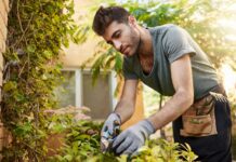 Interpretare vis în care apare un grădinar