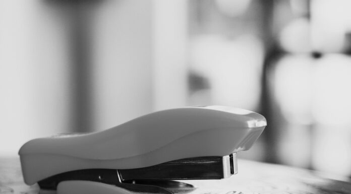 Interpretare vis în care apare un capsator