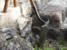 Interpretare vis în care apare un hârleț